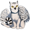 Owlcat - Snowy